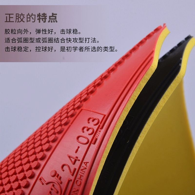 Gomma Originale DHS Dragon Sha - Table Tennis Shop recensione e prezzo